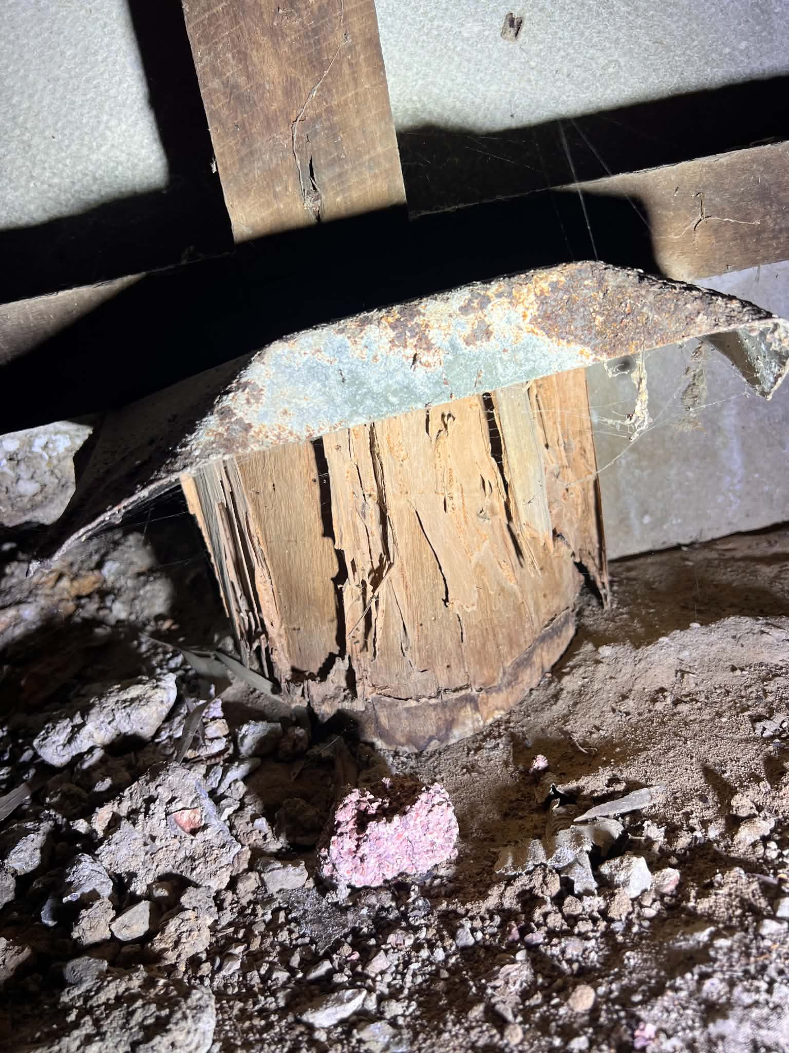 Termite damage to a subfloor timber pier